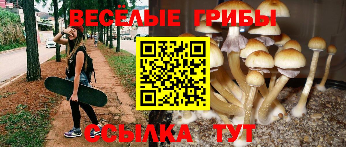 Галлюциногенные грибы мухоморы Трёхгорный